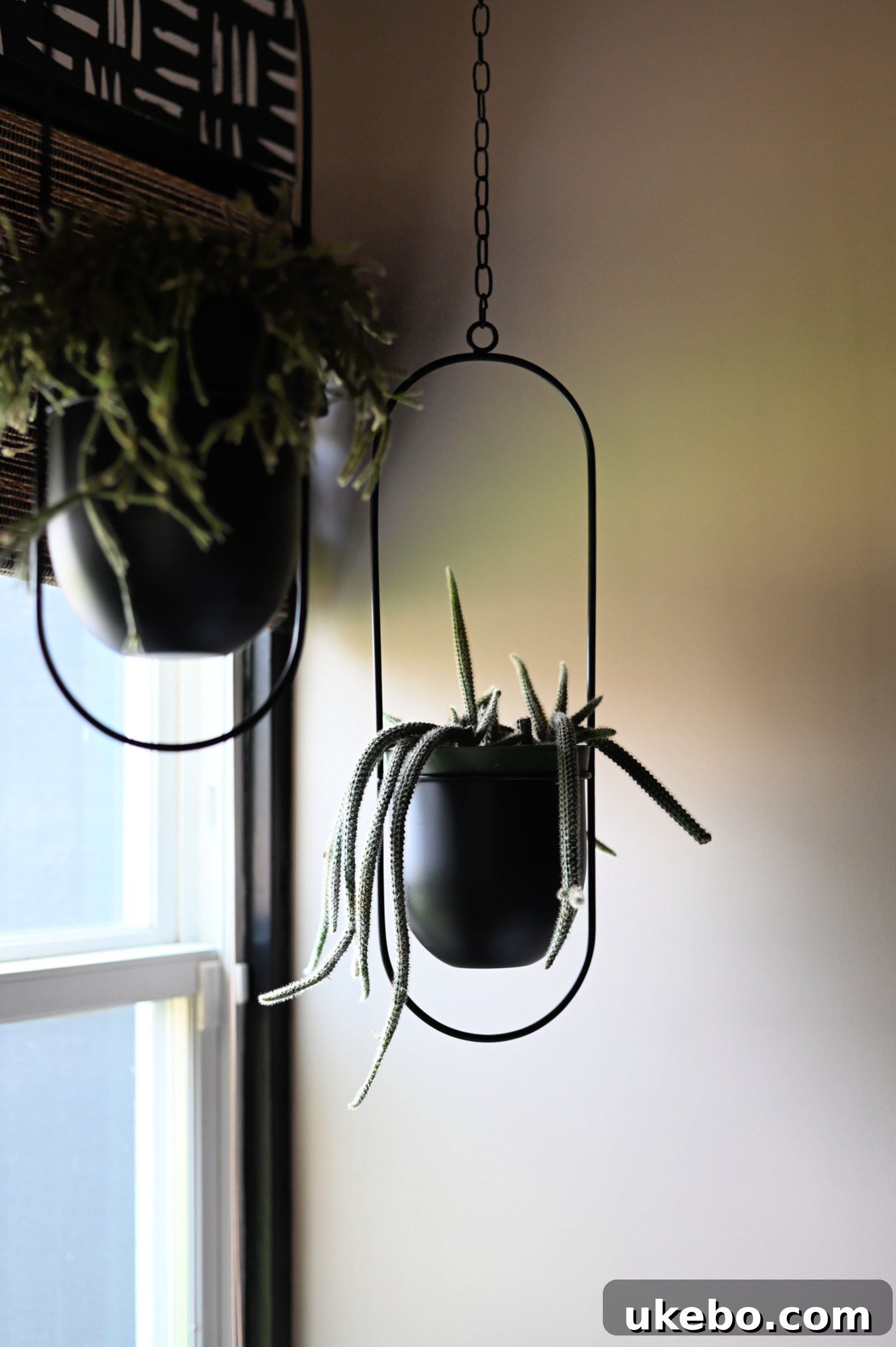 Details of Michael's room, featuring anime-inspired elements and creative touches.