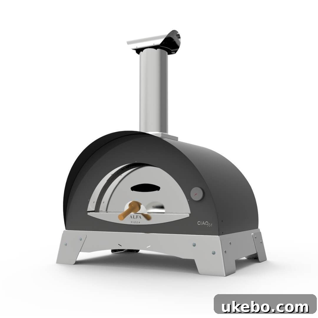 A sleek, modern Alfa outdoor wood-fired pizza oven, perfect for gourmet backyard cooking.