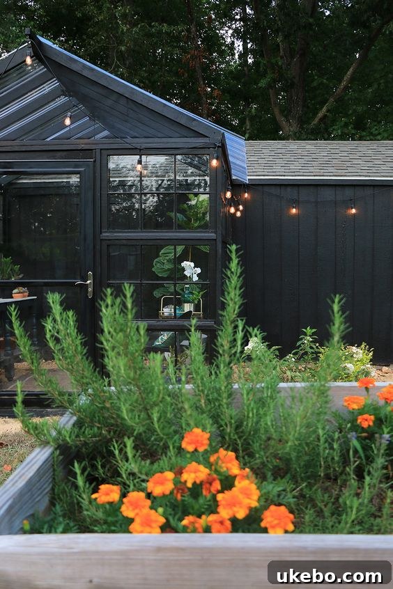 DIY greenhouse built with old windows