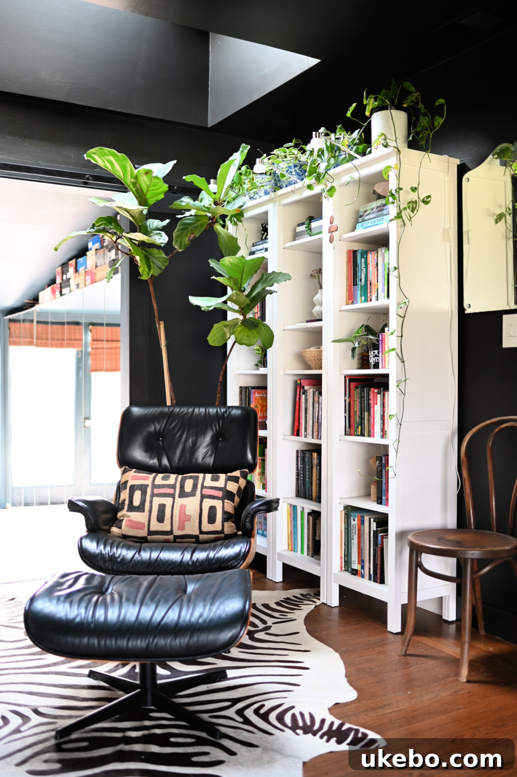 Detail shot of the library bar, highlighting the natural light washing over the shelves and decor