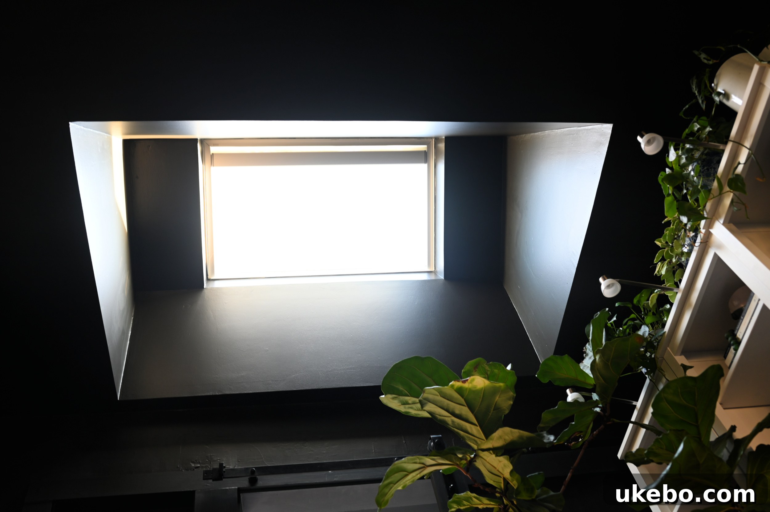 Wider angle of the renovated space, demonstrating improved flow and overall brightness from the skylight