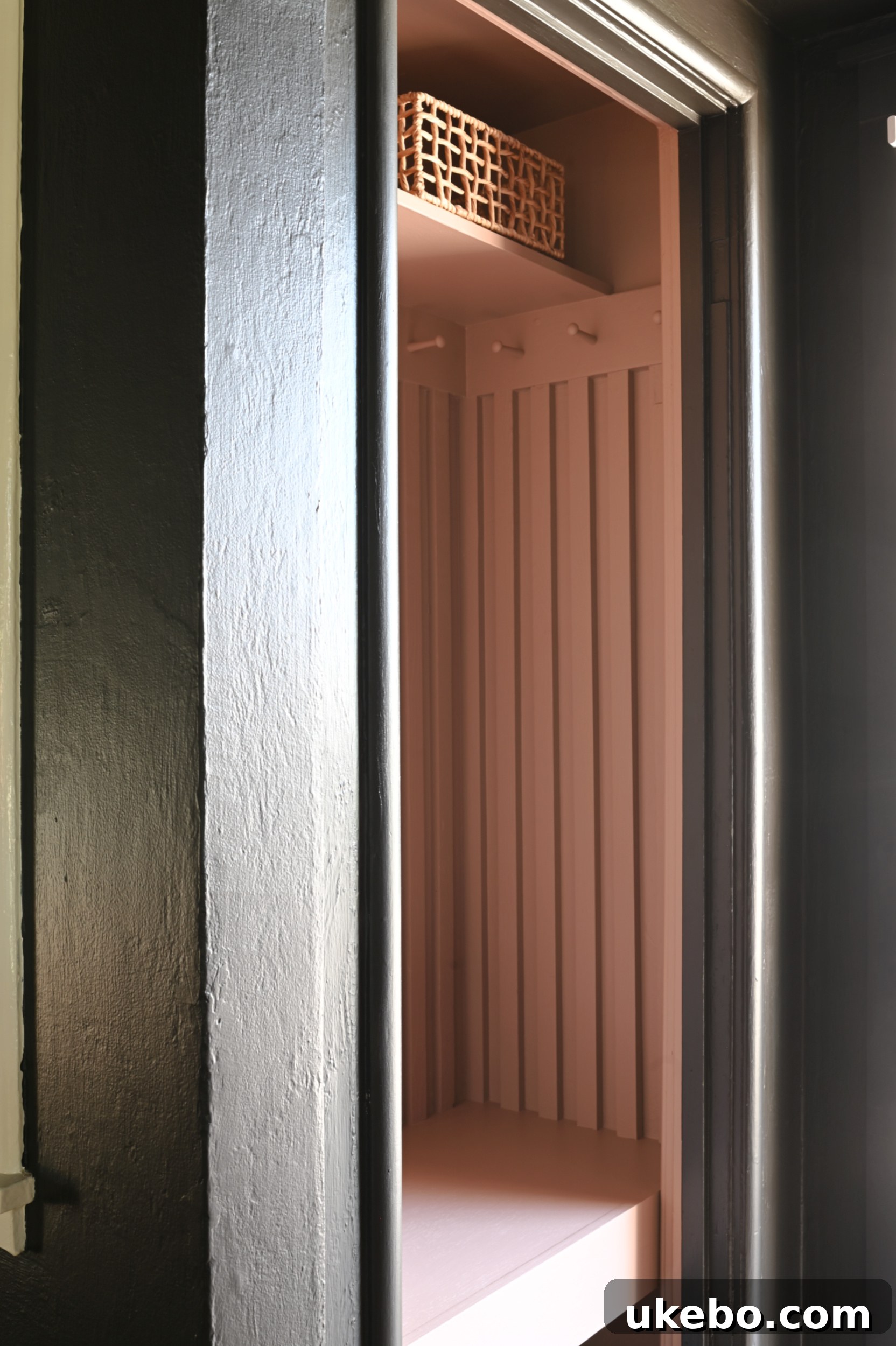 Decorated entryway closet with a plant and cushion