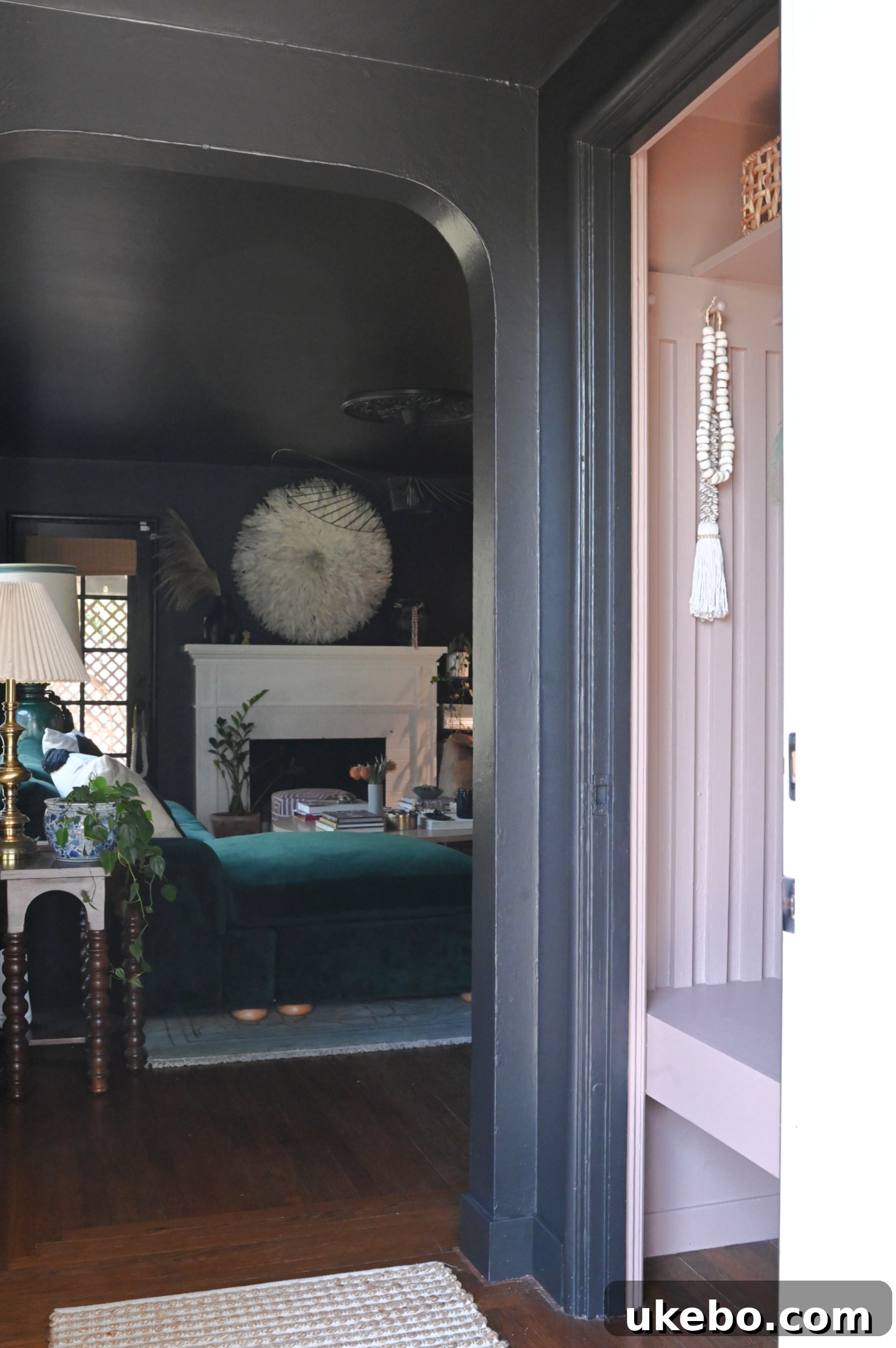 Elegant entryway closet in Sherwin-Williams Redend Point