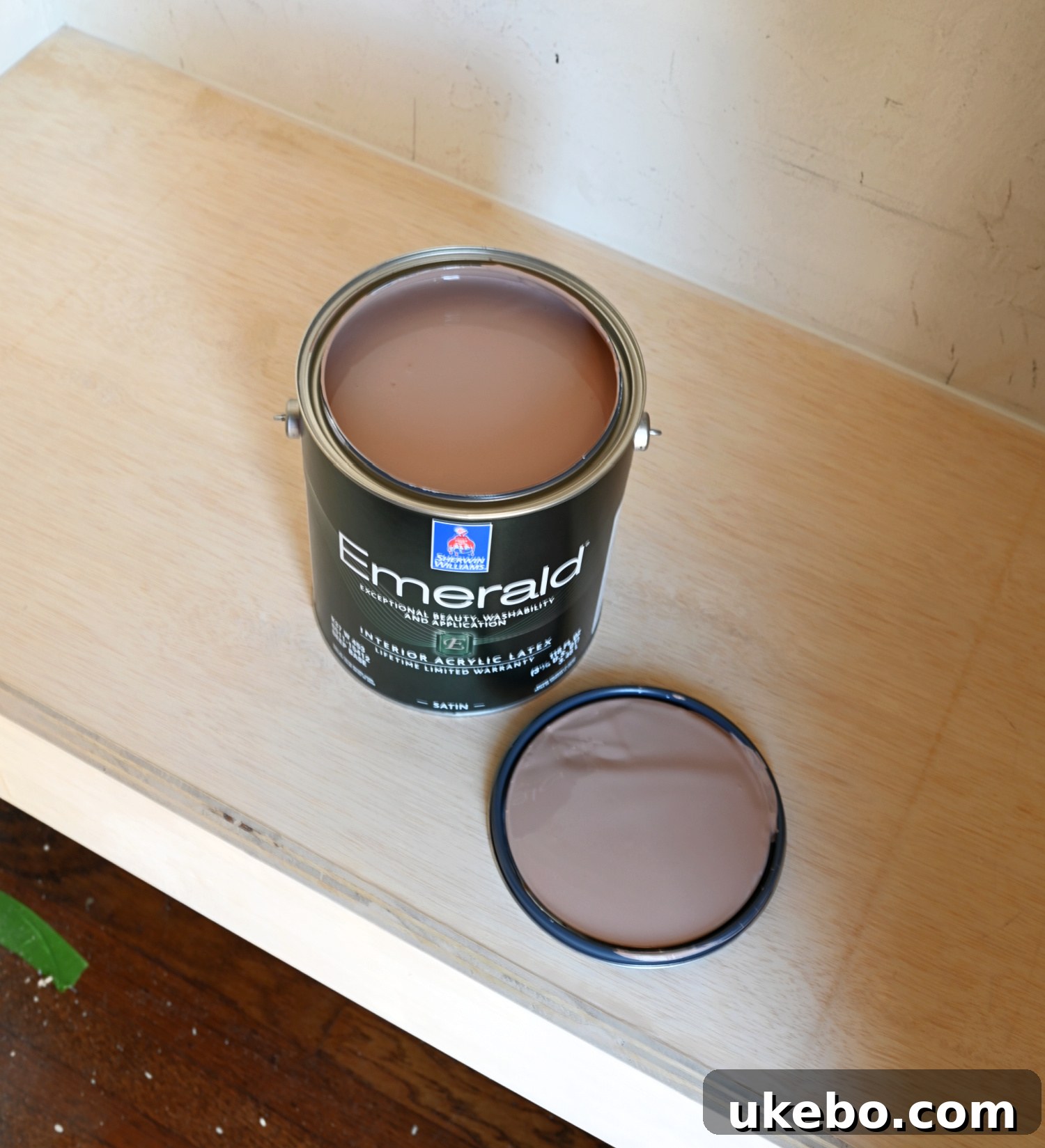 Sherwin-Williams Redend Point SW9081 color swatch