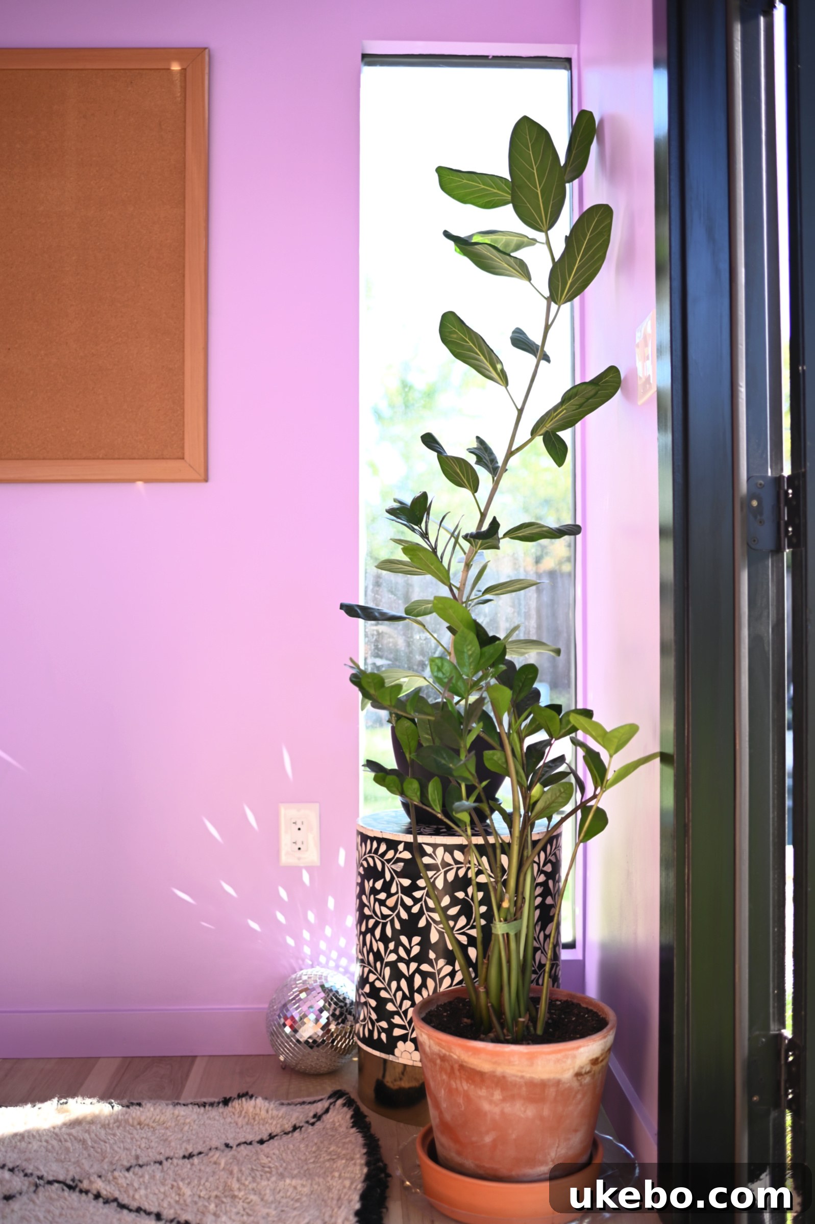 The office studio walls appear lighter purple on a very sunny day, showcasing color dynamics
