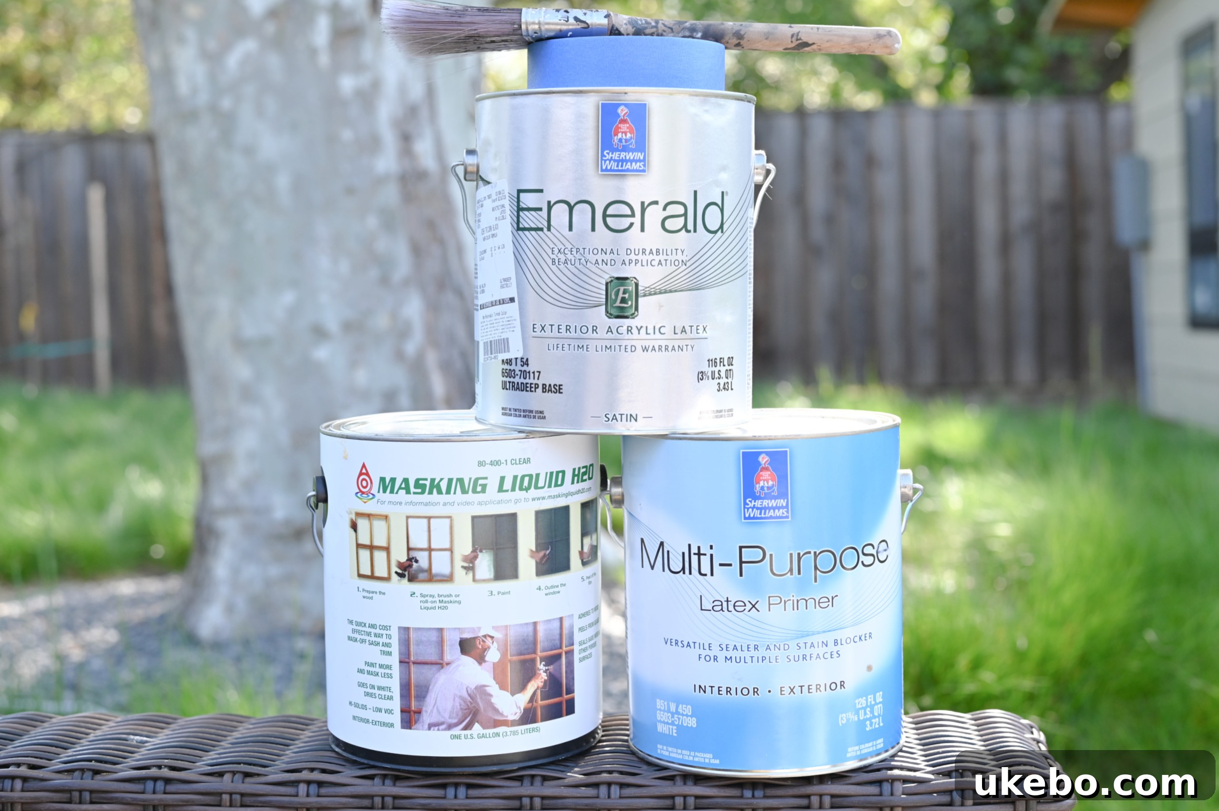 Sherwin-Williams Tricorn Black paint cans, Emerald Exterior Acrylic Latex, and painting supplies for the studio project.