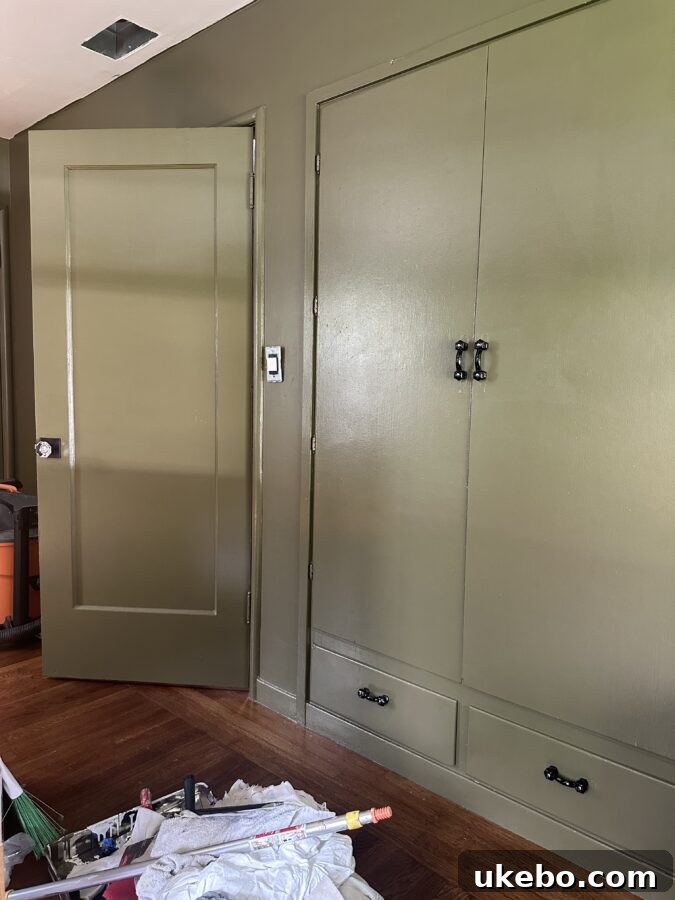 Empty(ish) Nest: Creating a Guest Room and Planning Next Steps 7 img 7856 6