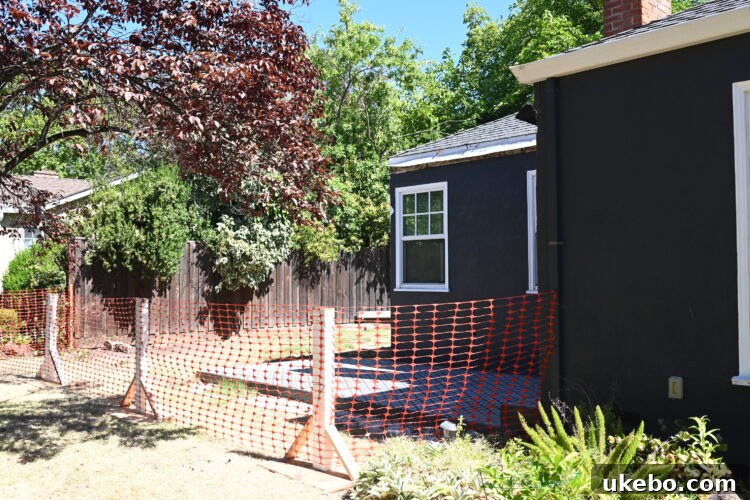 Primary Bedroom En Suite Addition: Plans and Construction Begin 13 Demo day photo 3