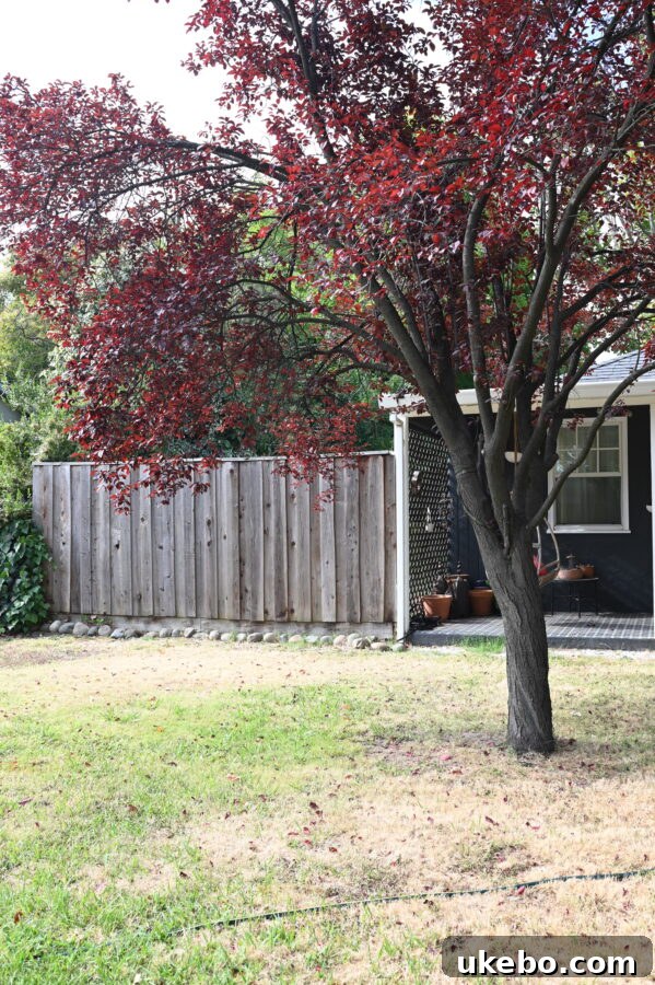 Primary Bedroom En Suite Addition: Plans and Construction Begin 8 Porch view 2